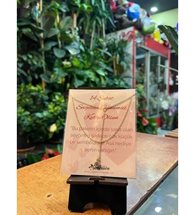 Asıl Hediye Sensin: Tektaşlı Gold Zincir Kolye